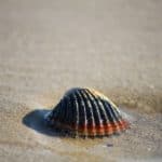 Spiagge d'Abruzzo