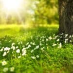 Primavera in Abruzzo