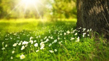 Primavera in Abruzzo