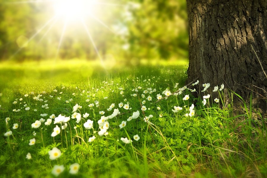 Primavera in Abruzzo
