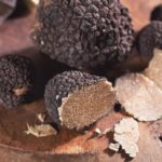 Tartufo Abruzzo