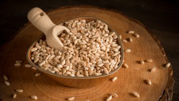 Abbateggio e il farro