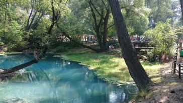 Parco del Lavino