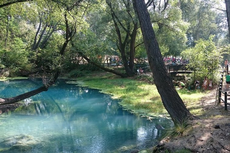 Parco del Lavino