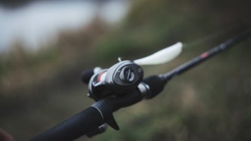 Pesca in Abruzzo