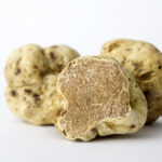 Tartufo bianco abruzzese