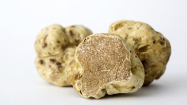 Tartufo bianco abruzzese