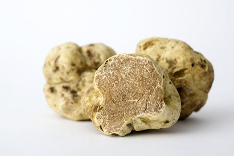 Tartufo bianco abruzzese