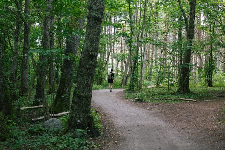Sentieri in Abruzzo