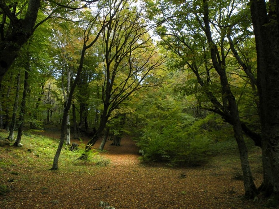 Caratteristiche Parco Majella