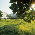 Percorsi enogastronomici Abruzzo