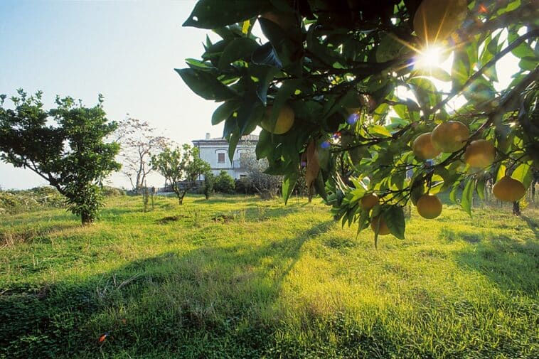 Percorsi enogastronomici Abruzzo
