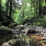 Riserve naturali Abruzzo