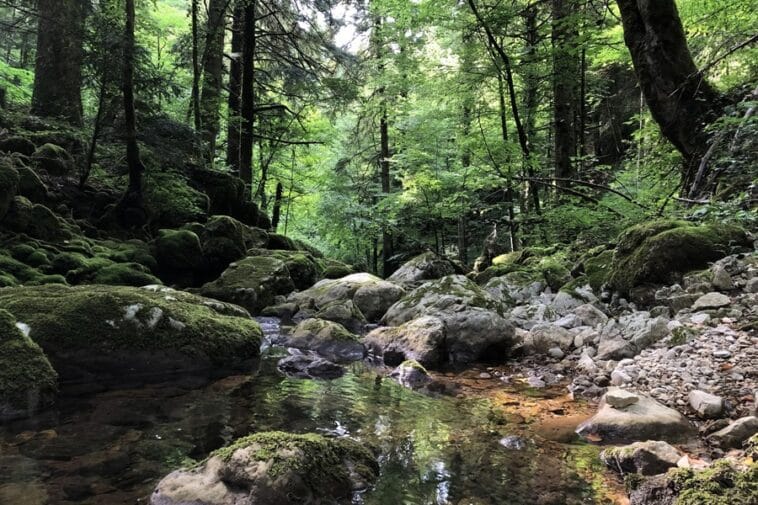 Riserve naturali Abruzzo