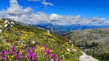 Fioriture Abruzzo 900